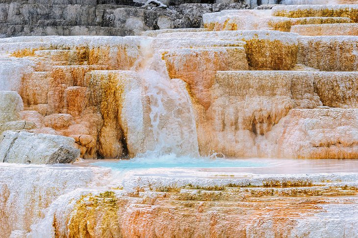 Mammoth Hot Springs in Yellowstone National Park