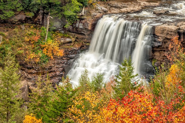 Blackwater Falls