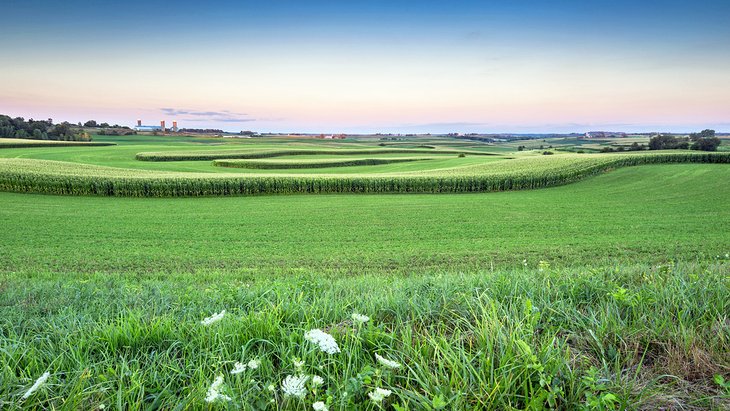 Terres agricoles dans la région Driftless du Wisconsin
