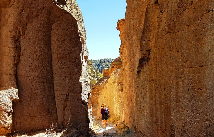 Author, Lana Law, in Chiricahua National Monument