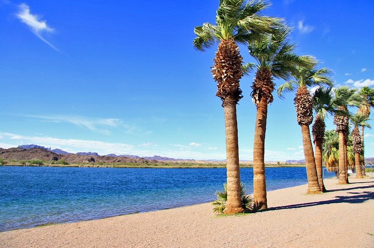 The palm-lined shores of Lake Havasu