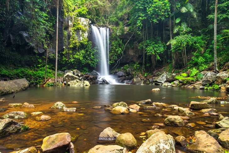 Curtis Falls, Tamborine National Park