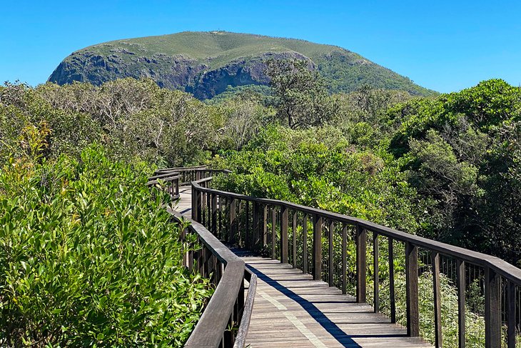 Mount Coolum