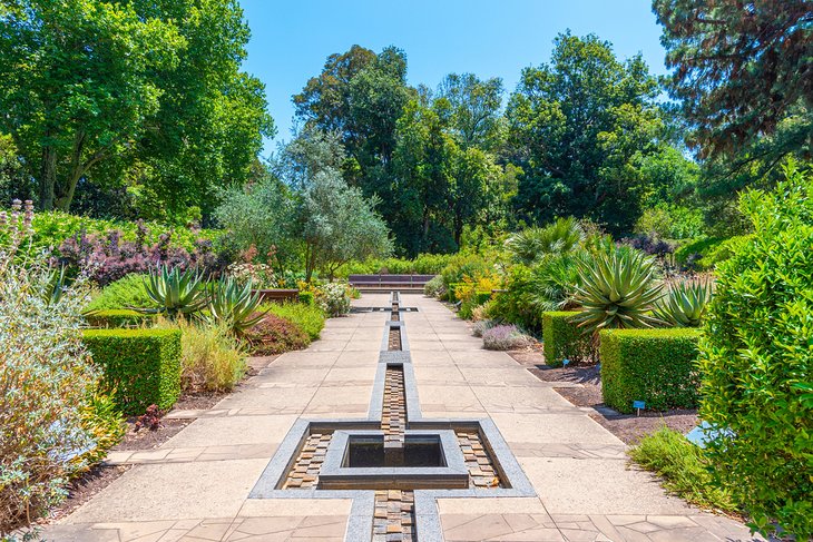 Adelaide Botanic Garden