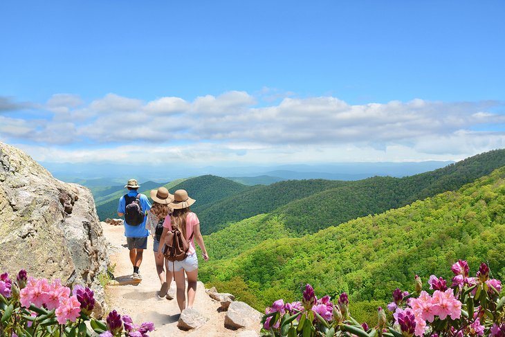 Hikers in the mountains near Asheville