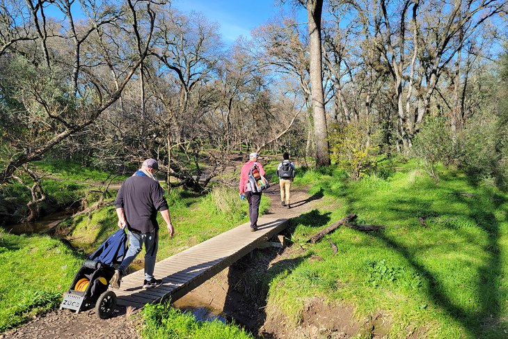 Shady Oaks Disc Golf Course