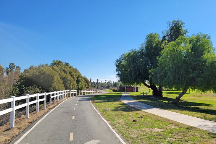 Santa Ana River Trail in Martha McLean-Anza Narrows Park