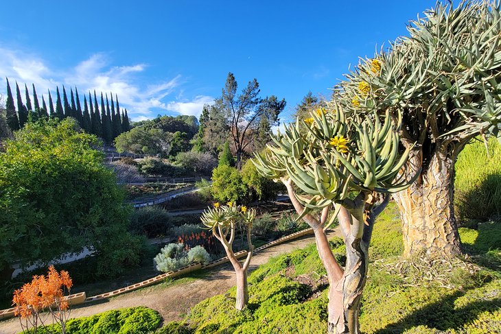 UC Riverside Botanic Gardens