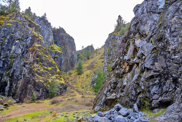 The Quarry Trail, Auburn State Recreation Area