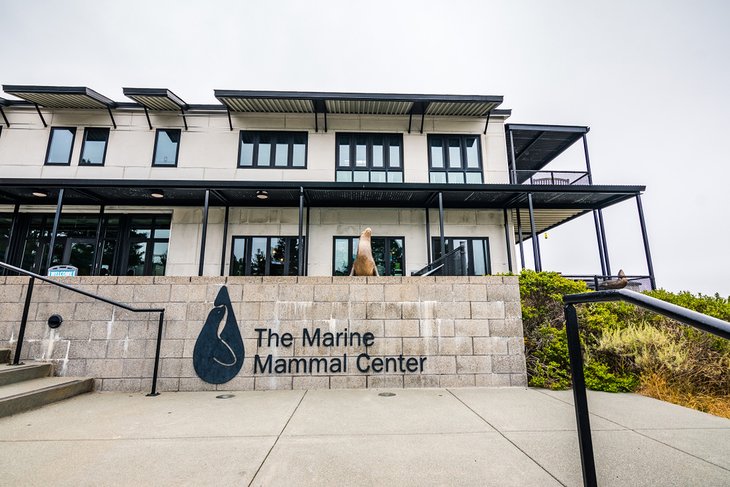 Marine Mammal Center