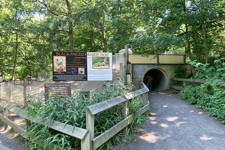 Beardsley Zoo