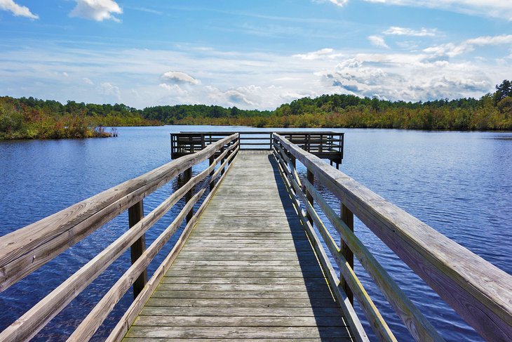 Prime Hook National Wildlife Refuge in Milton, Delaware