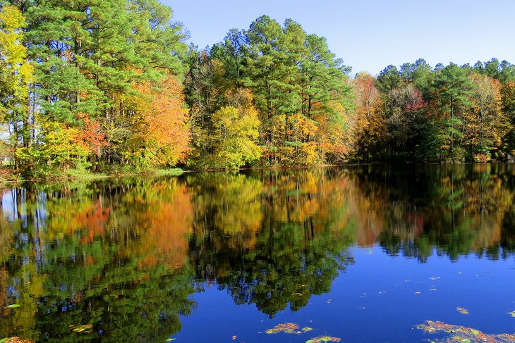 Fall colors at Trap Pond State Park