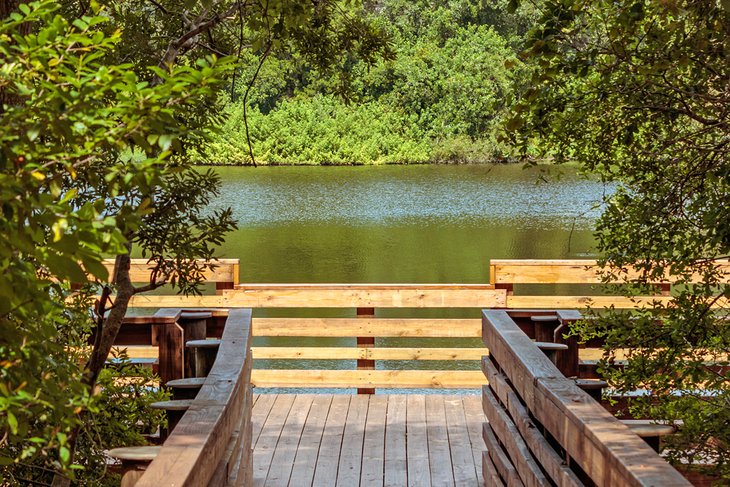 Wooden walkway at Moccasin Lake Nature Park