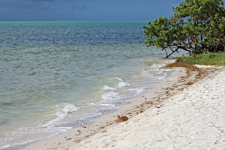 Curry Hammock State Park