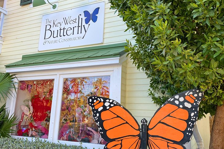 Key West Butterfly & Nature Conservatory