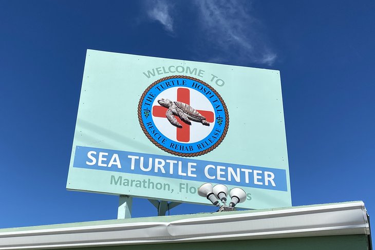 Turtle Hospital in Marathon