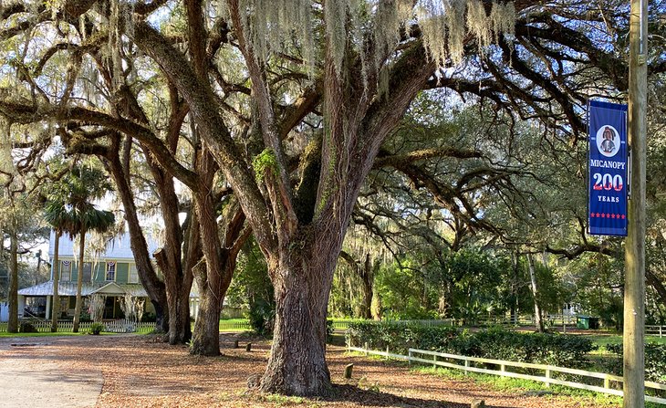 Historic Micanopy