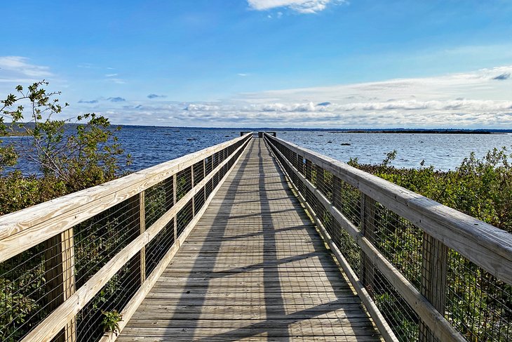 Walkway at Paynes Prairie Preserve State Park