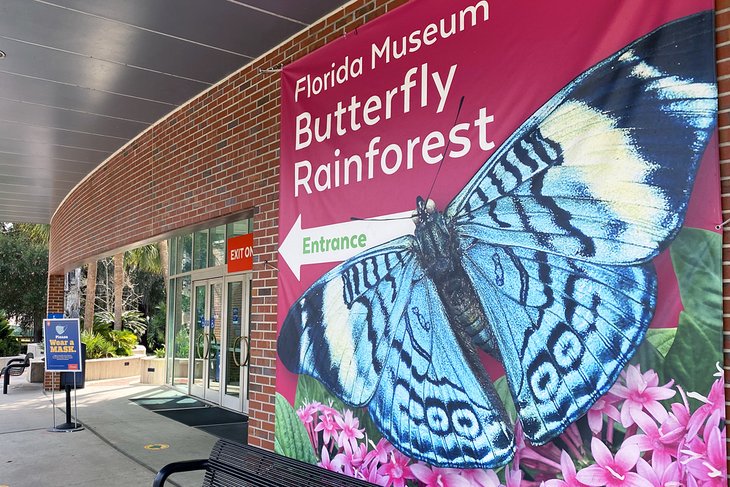 Entrance to the Butterfly Rainforest