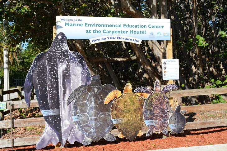 Marine Environmental Education Center