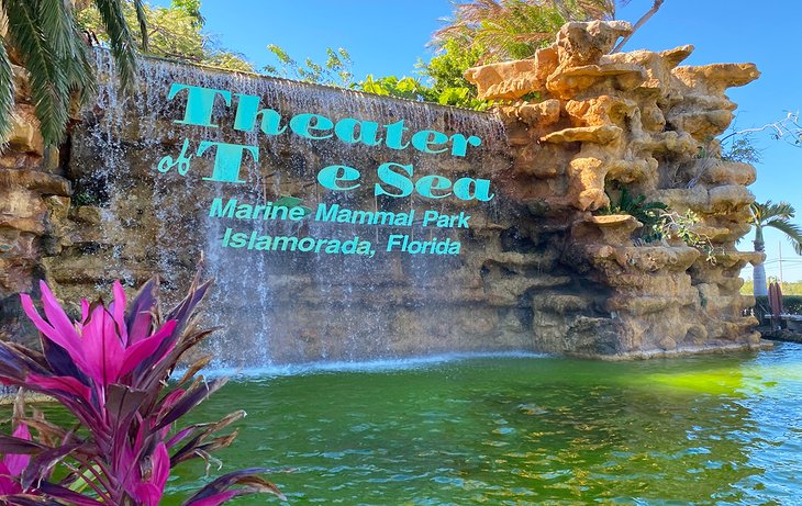 12 Top-Rated Attractions & Things to Do in Islamorada, FL | PlanetWare