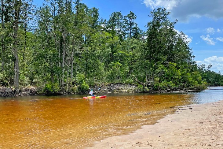Kayaking in Blackwater River State Park