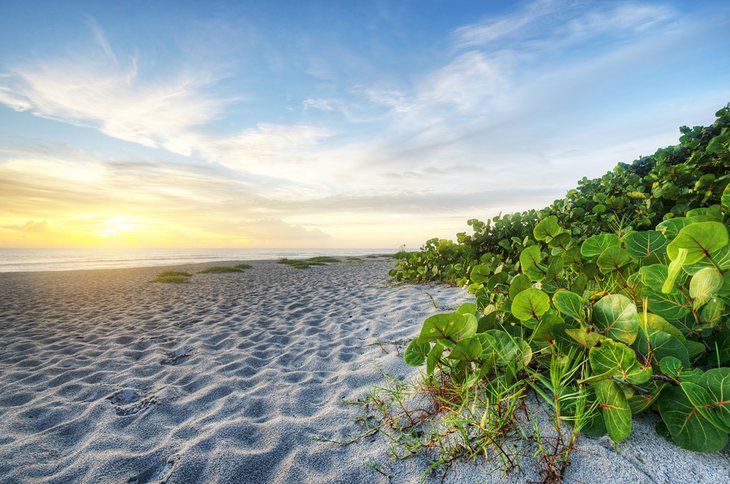 Indialantic Beach at sunrise