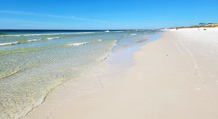 Grayton Beach State Park