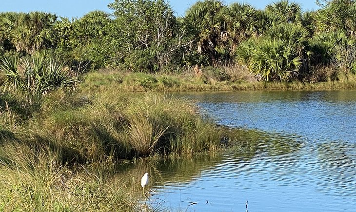 10 mejores cosas para hacer en Vero Beach, Florida 10 mejores cosas para hacer en Vero Beach, Florida