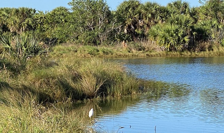 Pelican Island National Wildlife Refuge