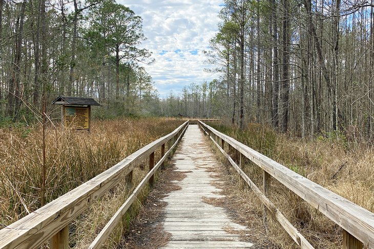 Las 12 mejores cosas para hacer en Valdosta, GA