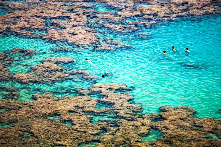 Snorkelers in Hanauma Bay, Honolulu