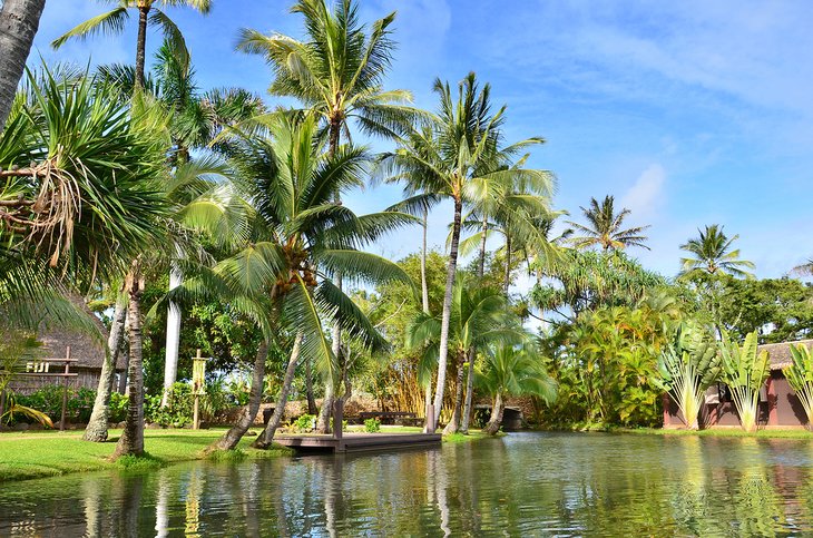 Polynesian Cultural Center