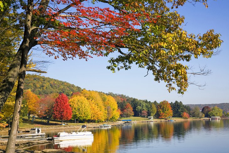 Couleurs d'automne le long de Deep Creek Lake, Maryland