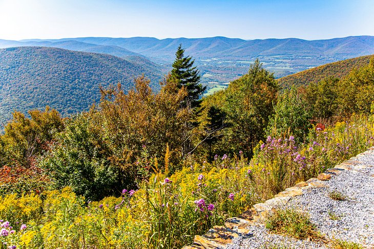 View from Mount Greylock