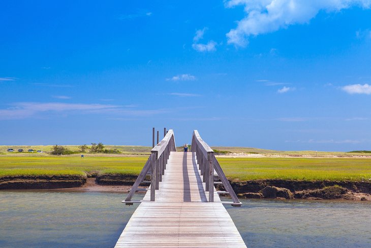 The Sandwich Boardwalk