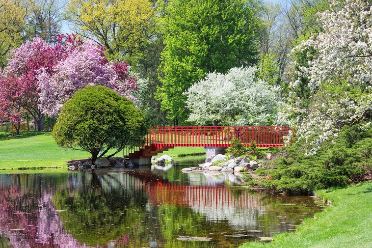 Dow Gardens, Midland, Michigan