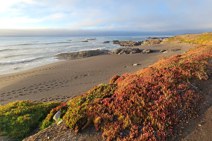 Main Beach, MacKerricher State Park