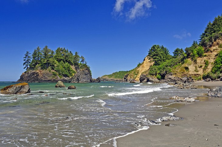 Trinidad State Beach