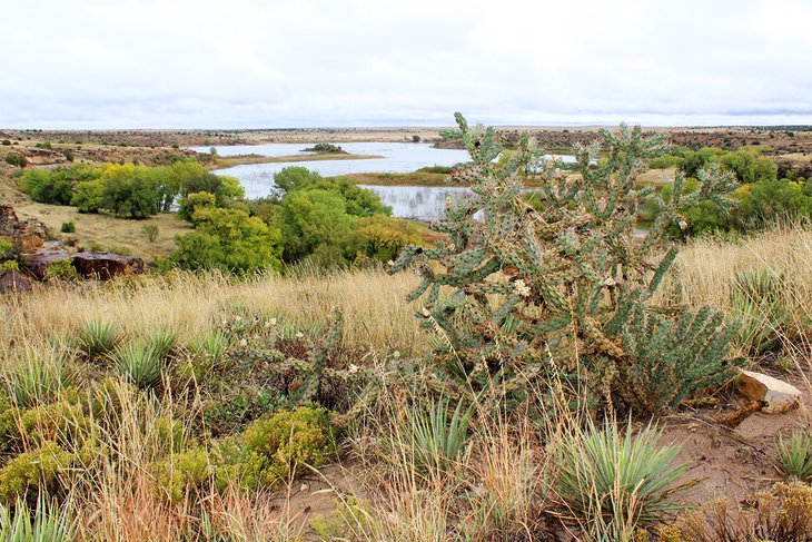 Black Mesa State Park