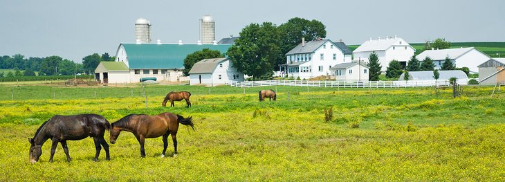 Amish farm near Intercourse, PA