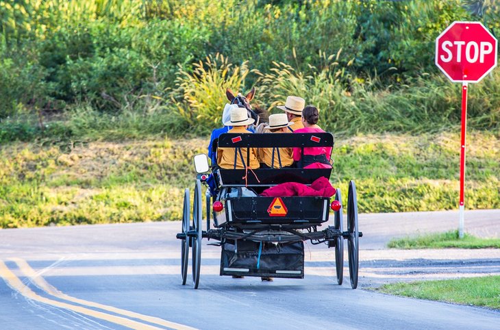 Amish buggy in Strasburg