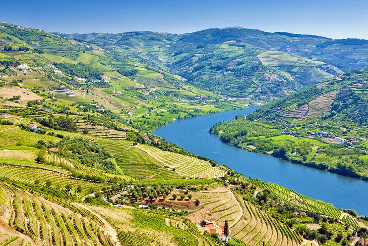 Douro Valley