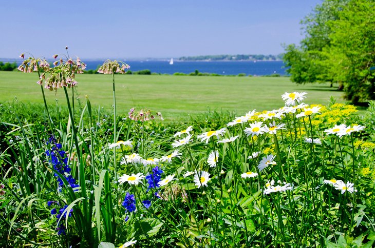 Gardens at Blithewold, Bristol