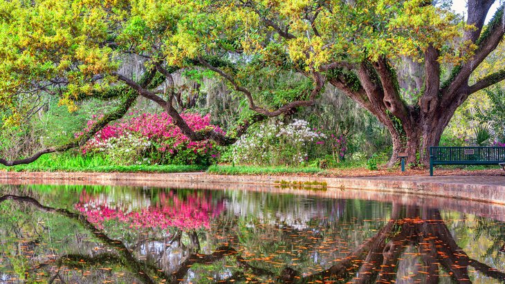 Brookgreen Gardens