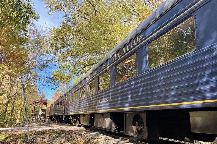 Tennessee Valley Railroad