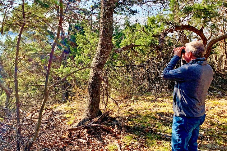 Birding at Stillhouse Hollow Park