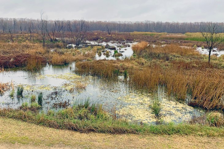 Lake Waco Wetlands