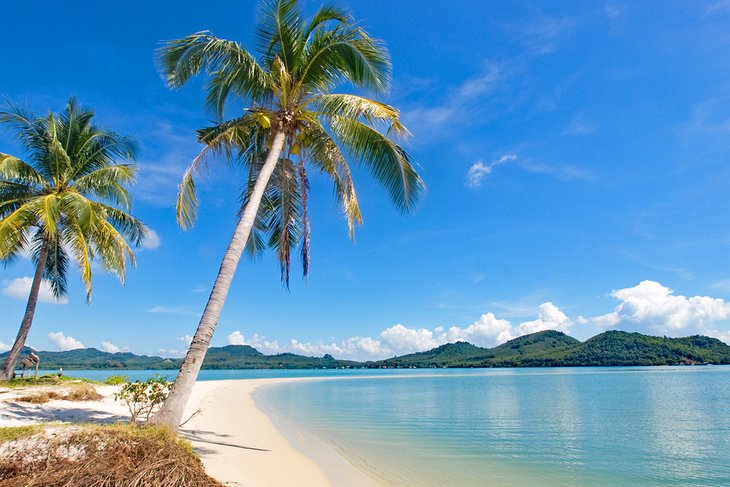 Palm trees on the beach at Ko Yao Yai